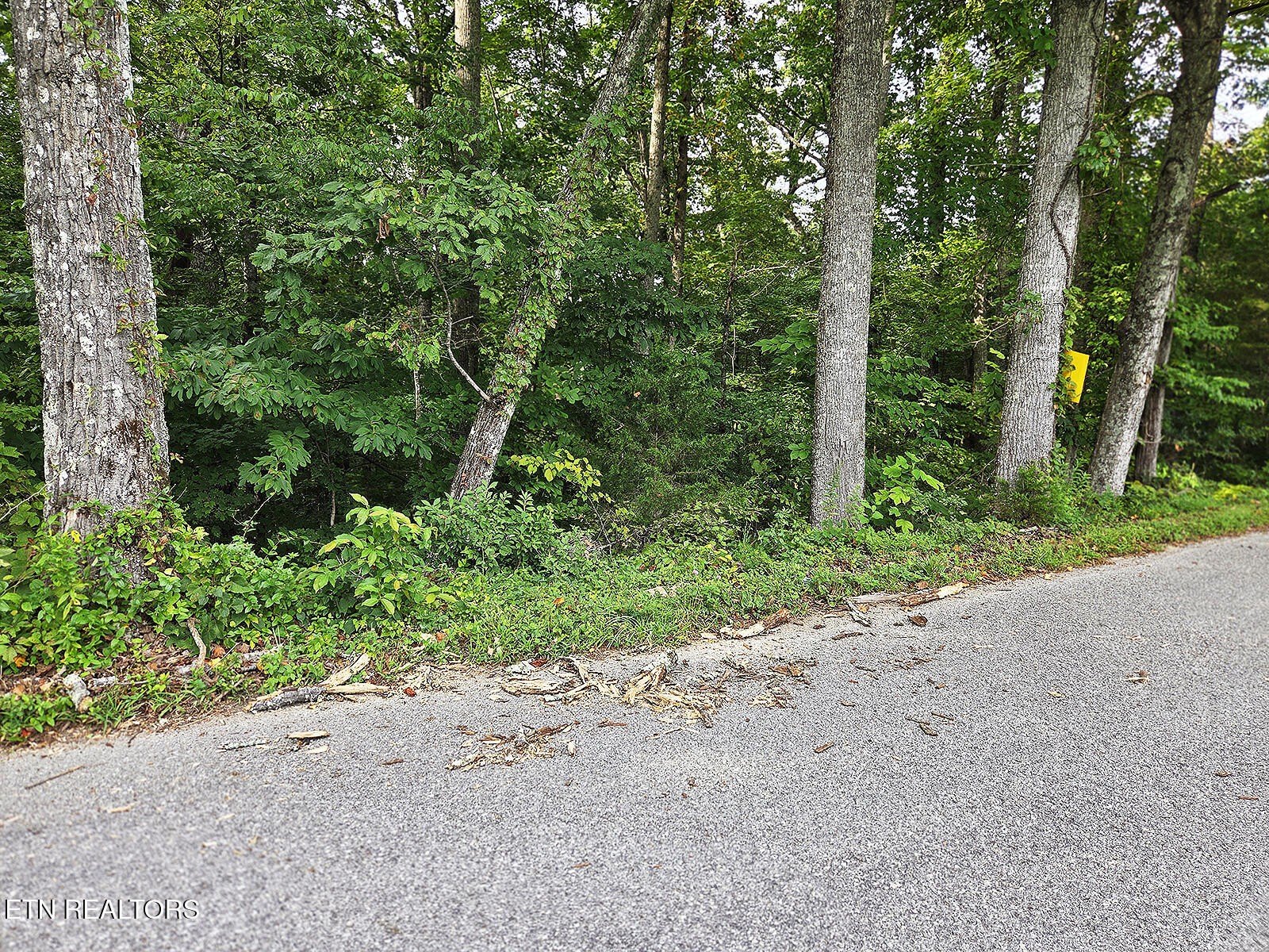 LaFollette Land Near Norris Lake