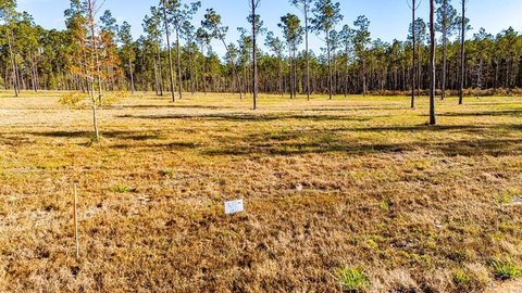 Land, Moscow, TX