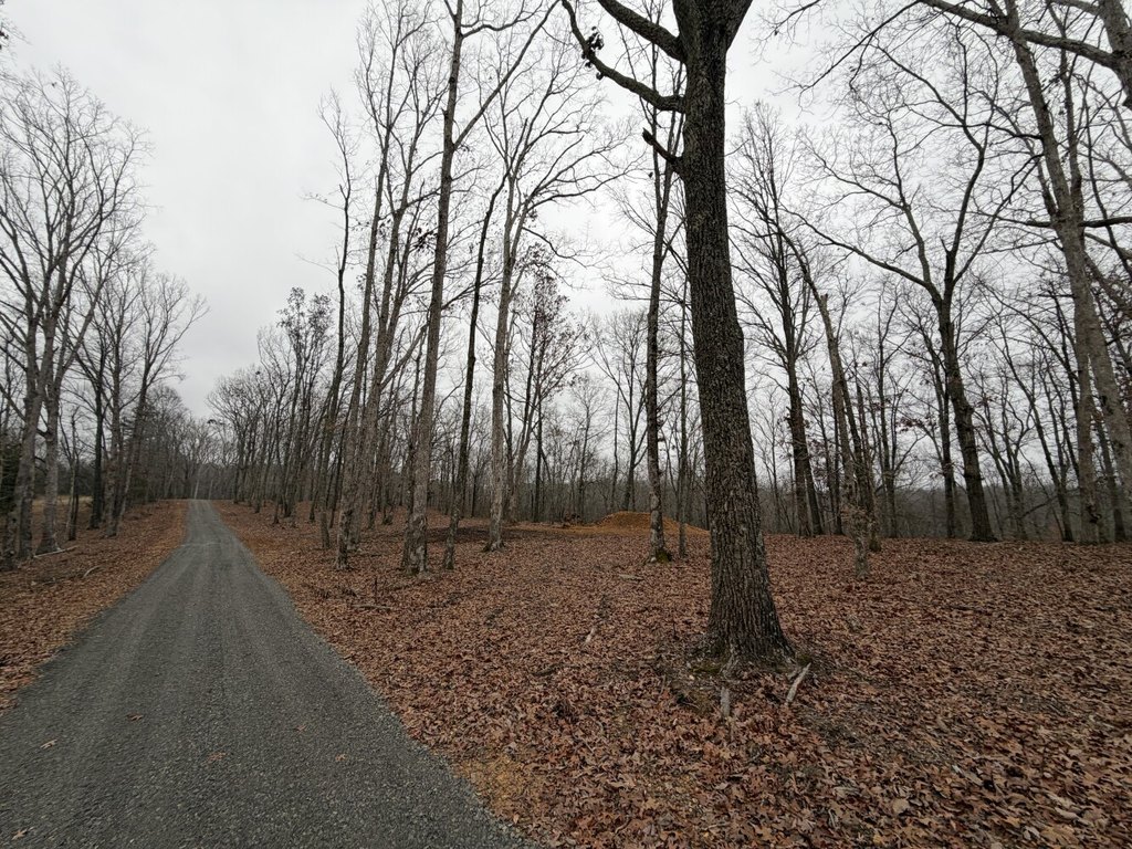 Picture 12