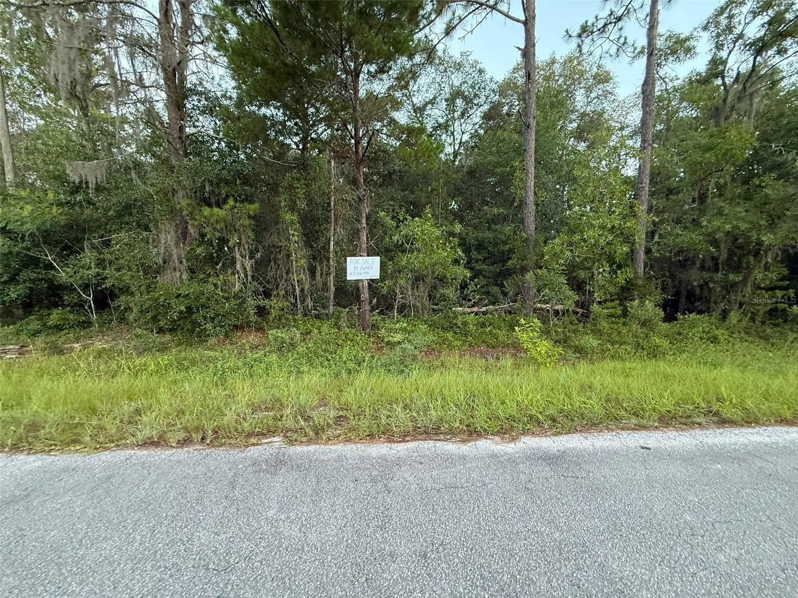 Residential Land in Florahome, Florida
