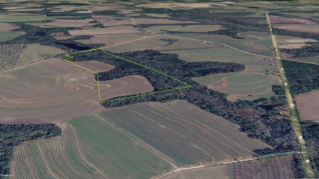 Recreational Land with Homesite Potential