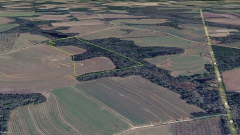 Recreational Land with Homesite Potential