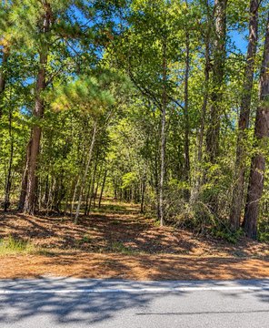 Land, Walterboro, SC