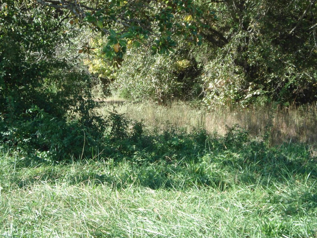 Picture 2