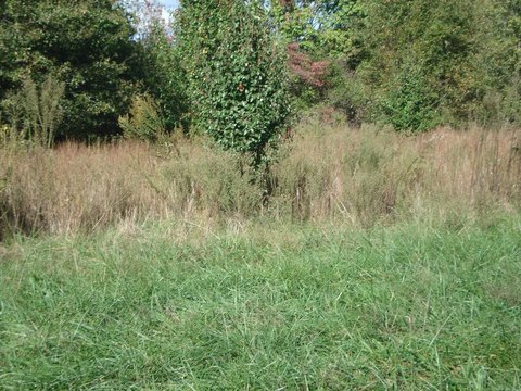 Prime Land in Moore, SC