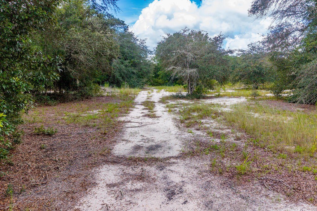 Picture 9