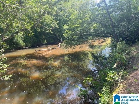 LAND - CRAGFORD, AL