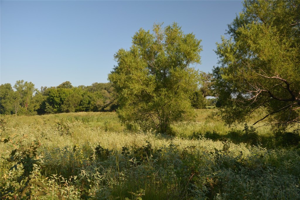 Picture 11