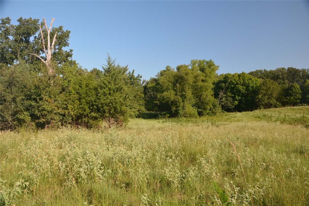 Picture 10