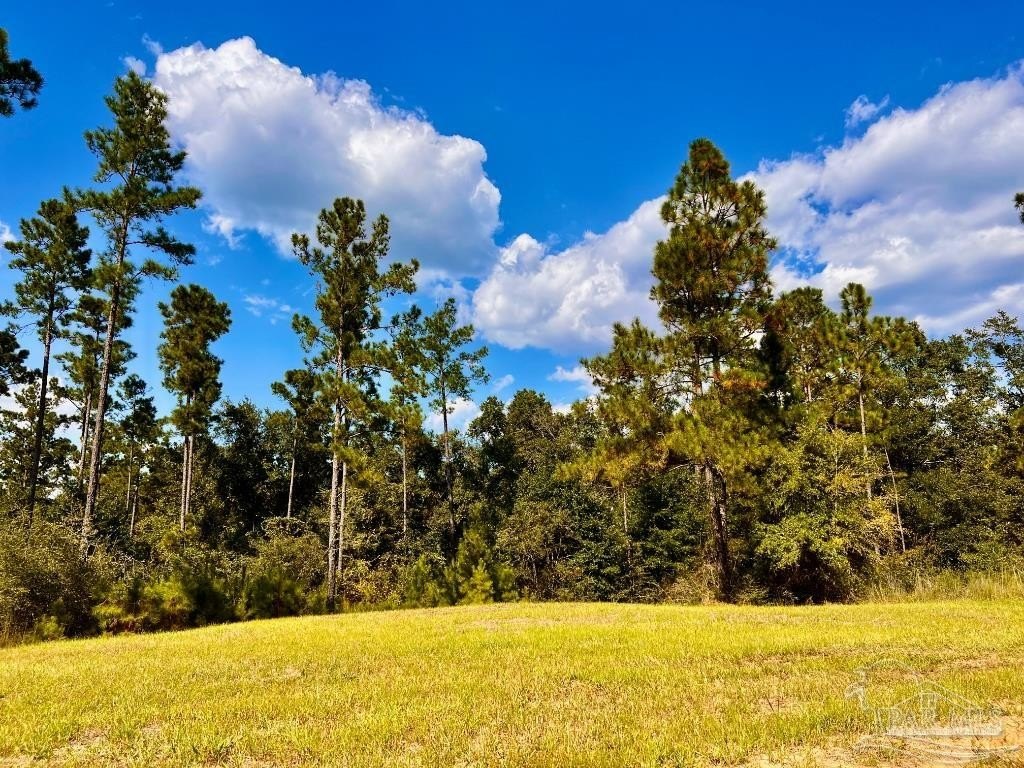 Acreage Homesite in Gated Community