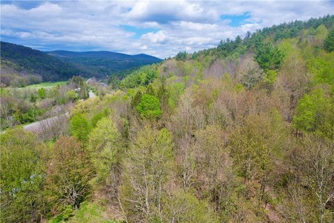 Wooded Land Bordering State Land