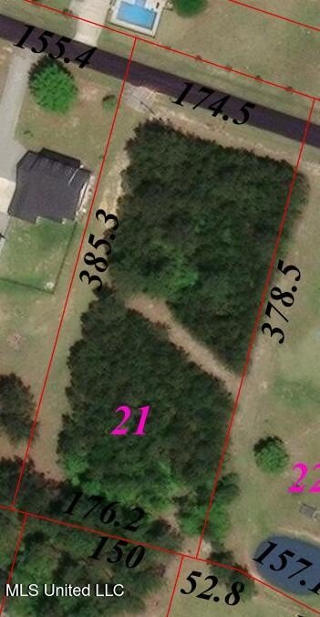 Picture 5