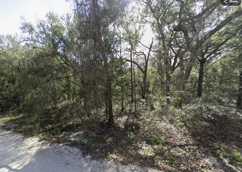 Land, WEBSTER, FL