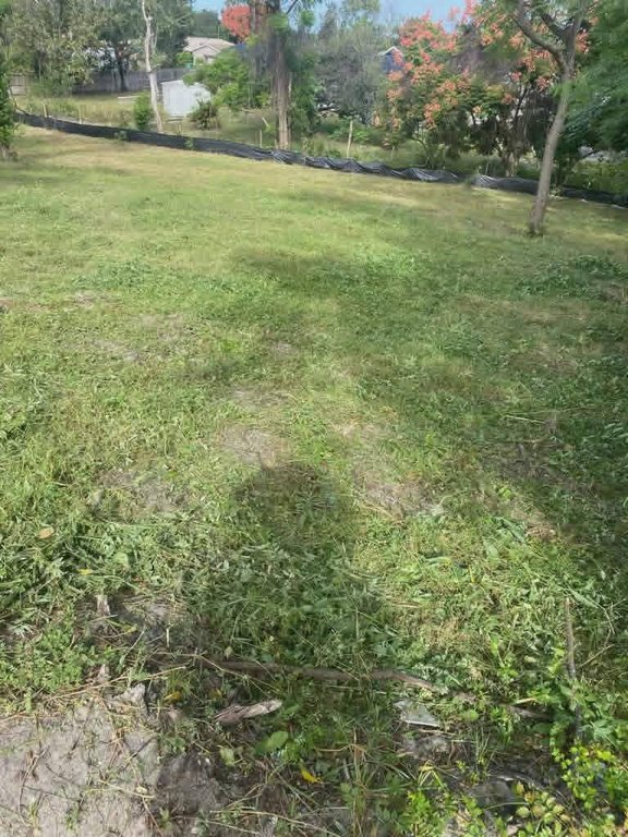 Picture 3