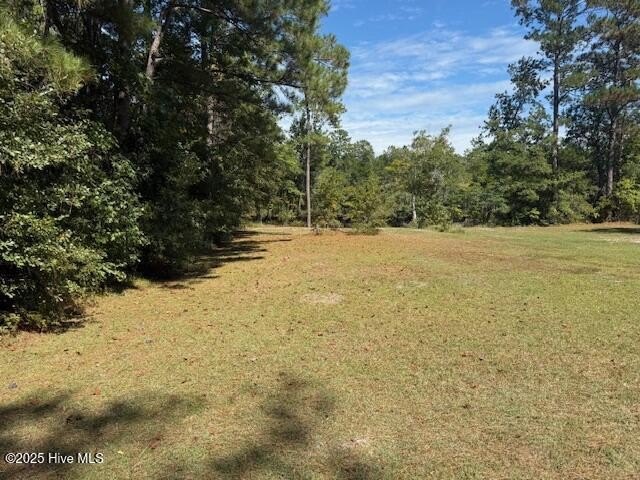 Riverfront Land Near Tabor City