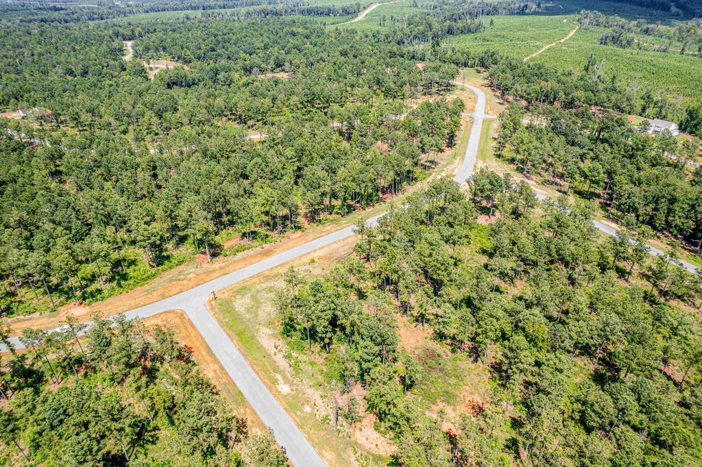 Picture 10