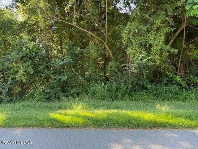 Residential Lot in Cape Colony