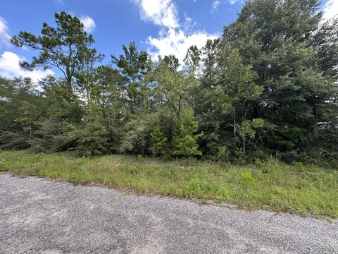 LAND - DeFuniak Springs, FL