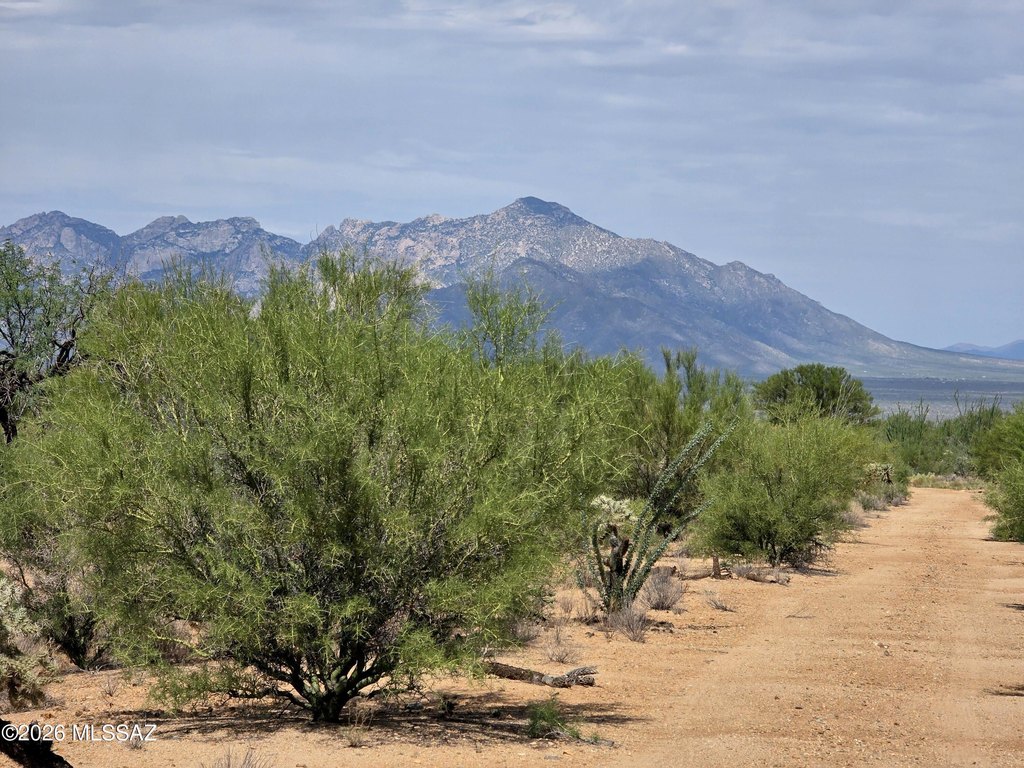 Picture 6