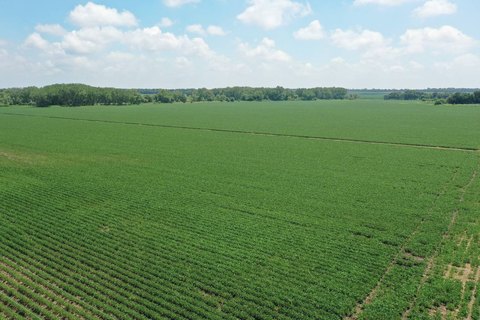 Irrigated Farm With Pasture