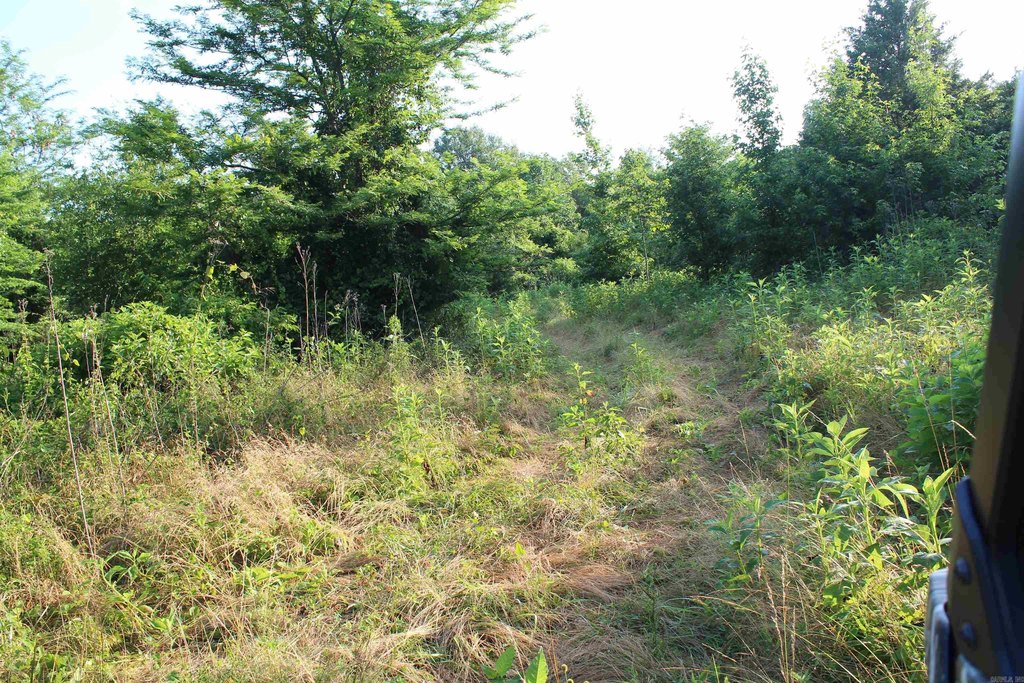 Picture 27