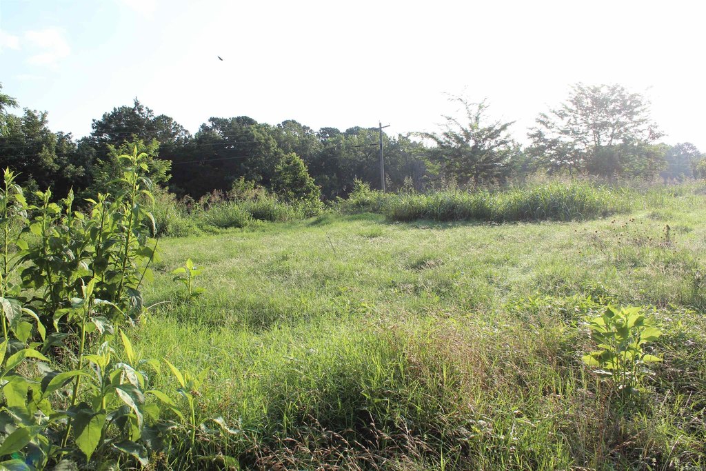 Picture 36