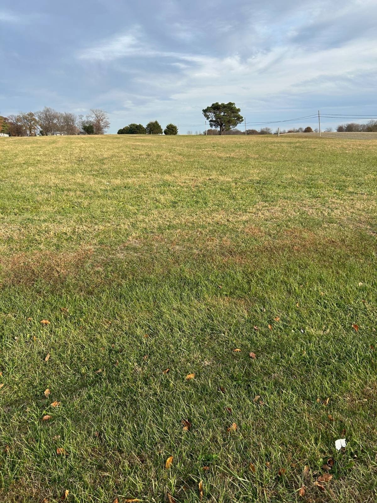 Carmi, IL Vacant Land
