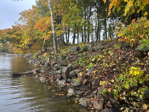 Land, Alexandria, MN