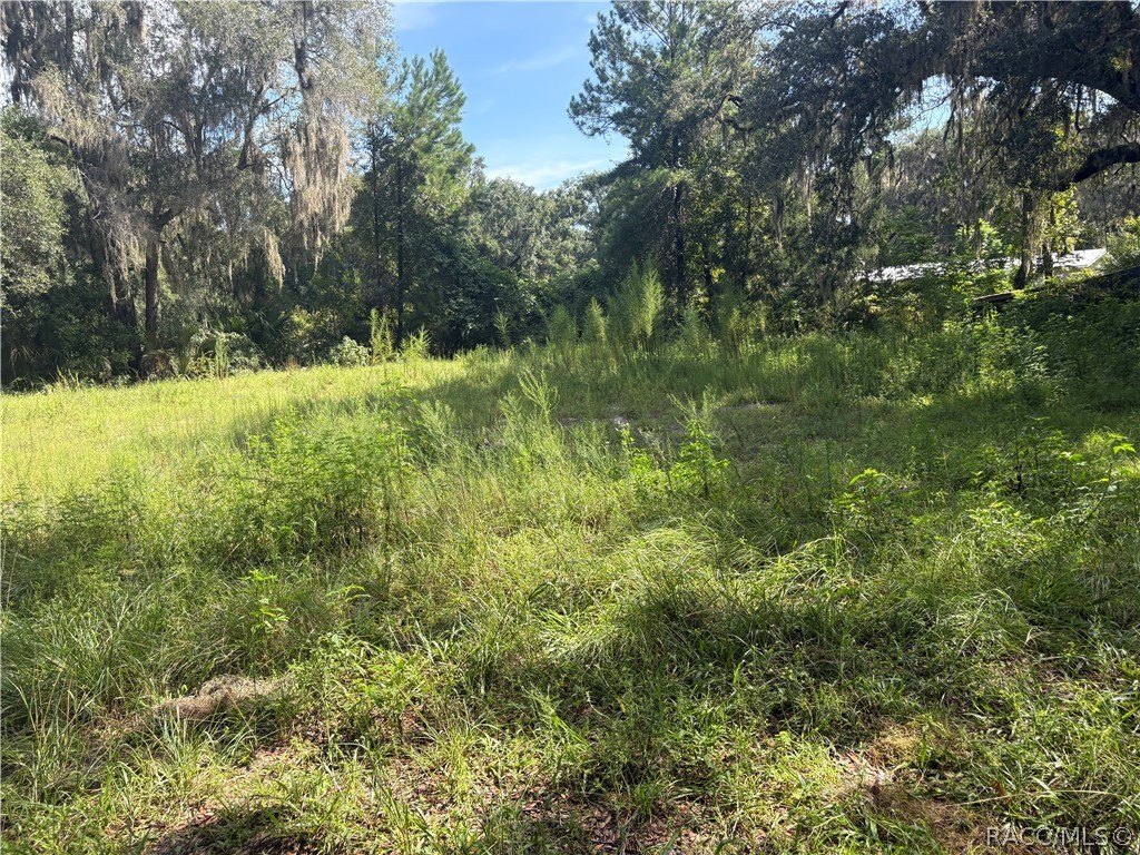 Picture 6