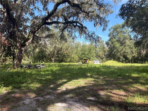 Vacant Residential Lot in Meadows Subdivision