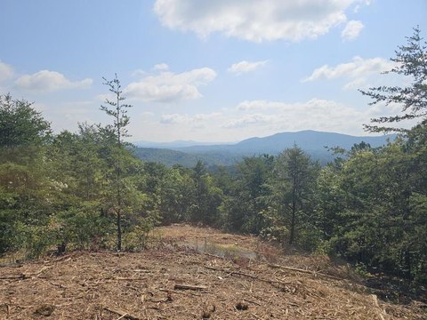 Vacant Lot, Murphy, NC