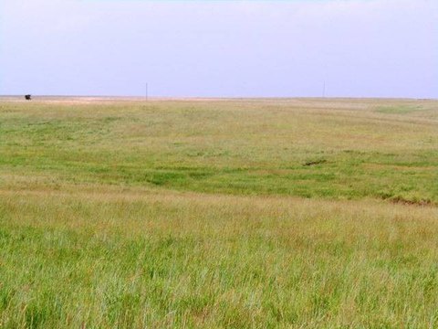 Unfenced Ranch Tract With Pond Potential