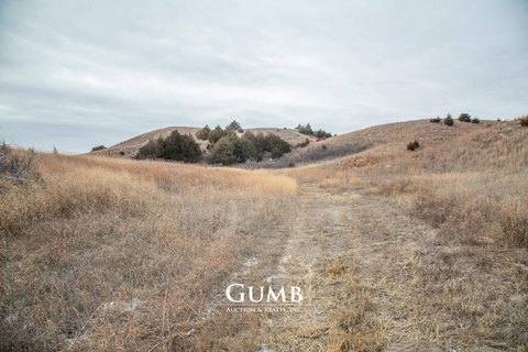 Recreation and Hunting Land
