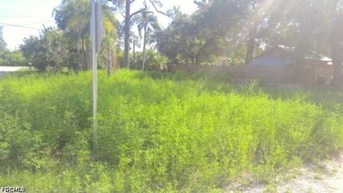 LAND - North Fort Myers, FL