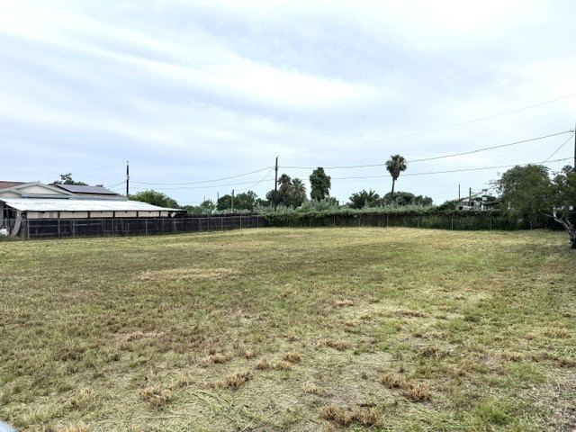 Picture 6