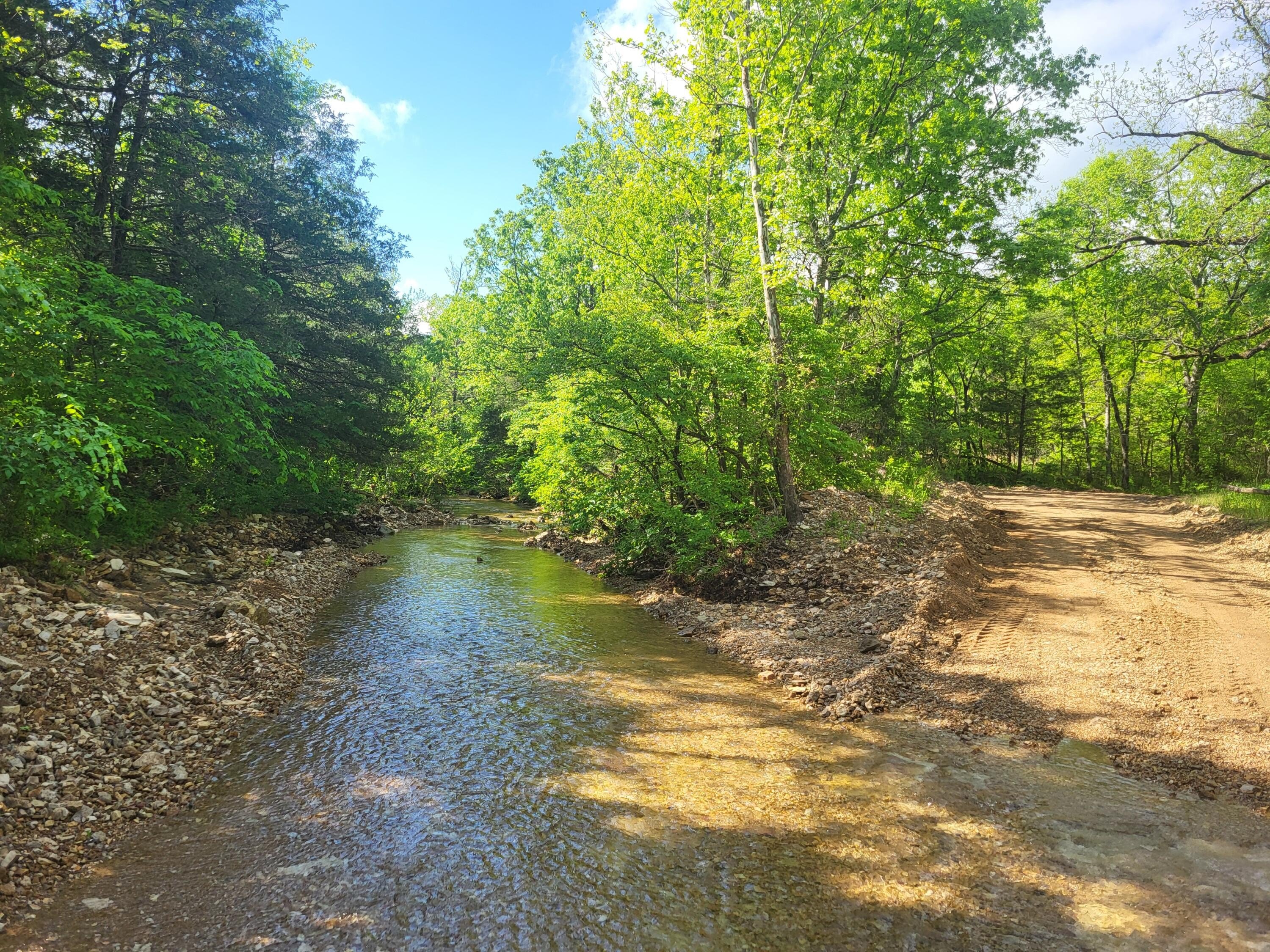 Secluded Hunting Land in Gainesville