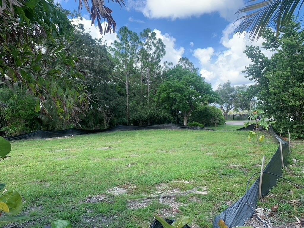 Picture 17