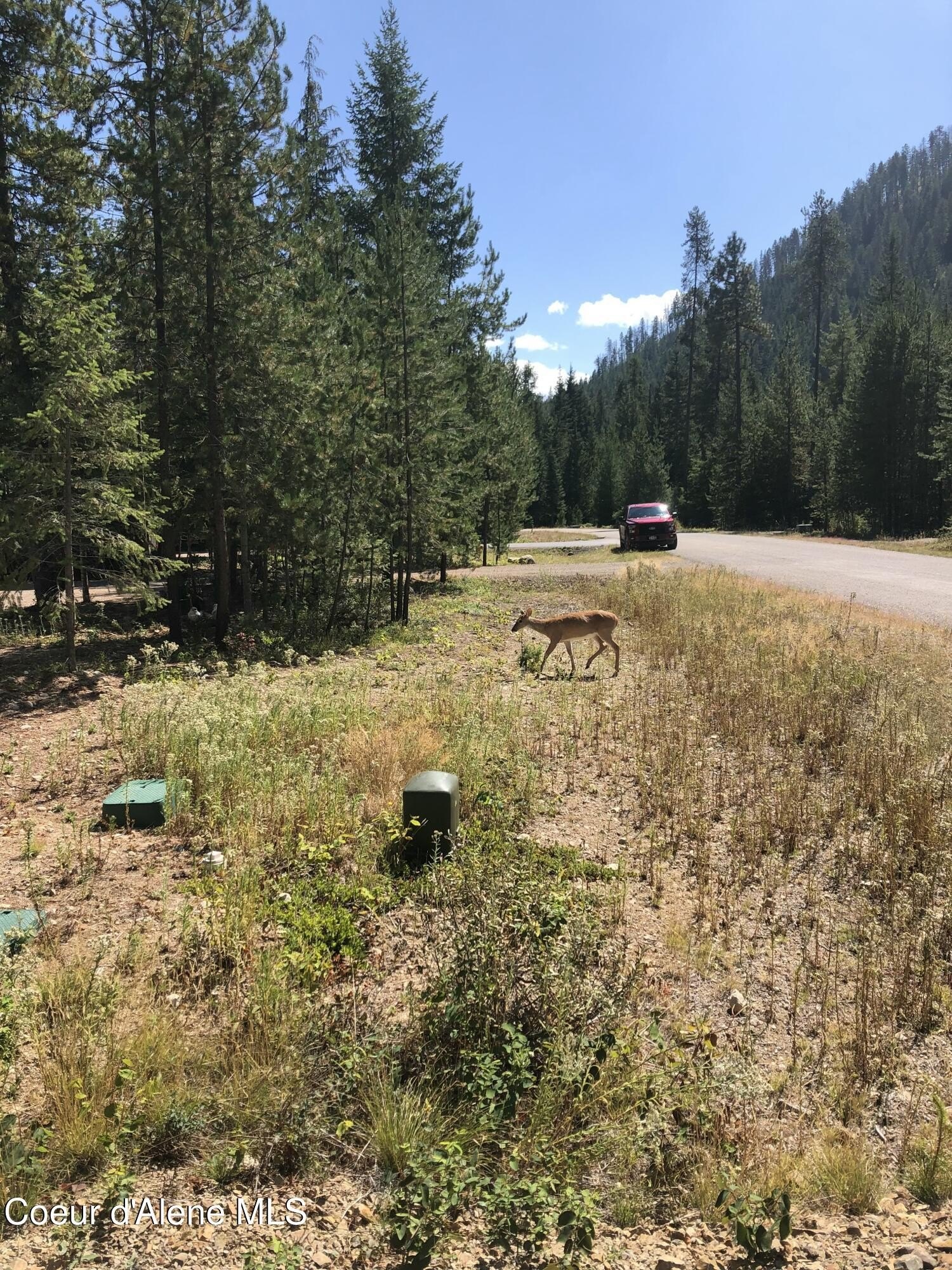 Priest Lake Land For Sale