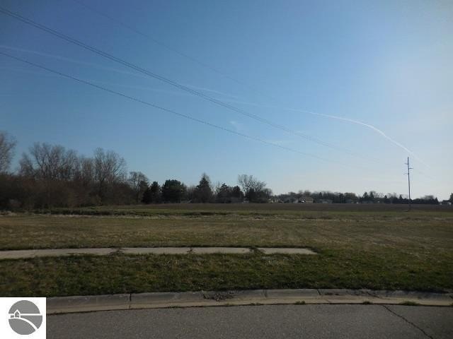 Picture 3