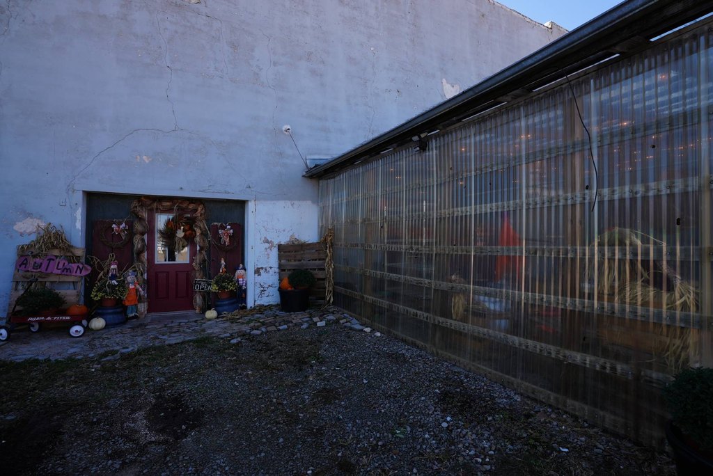 Picture 46