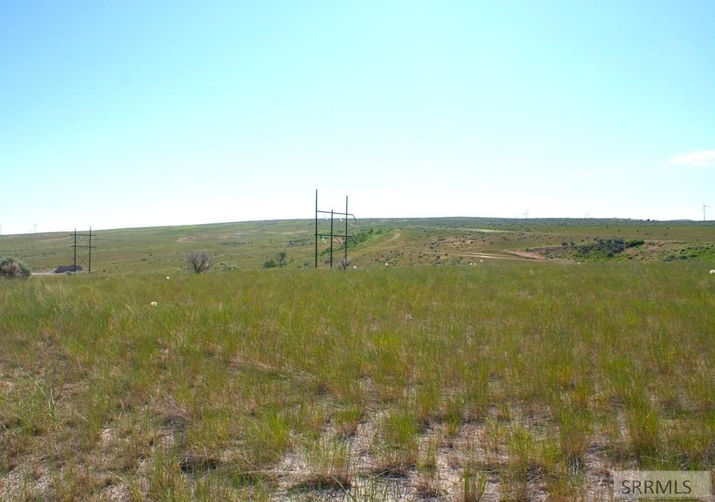 Picture 4