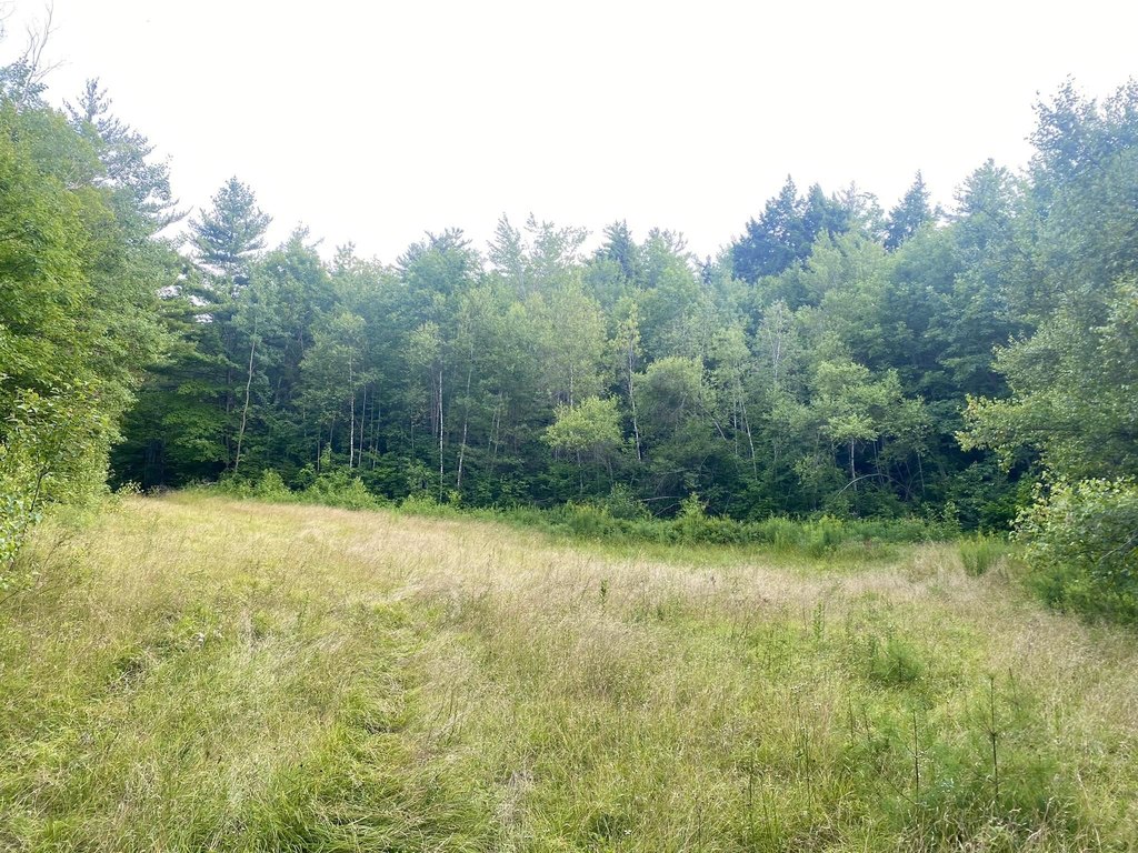 Picture 38