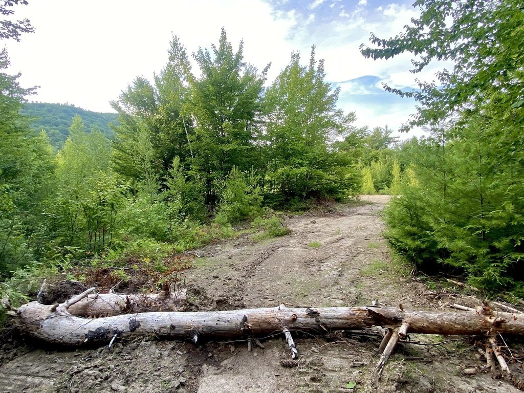 Picture 22