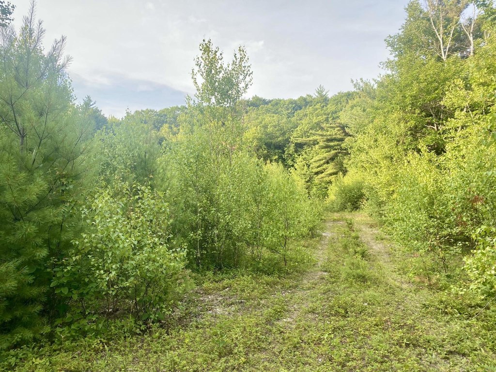 Picture 25