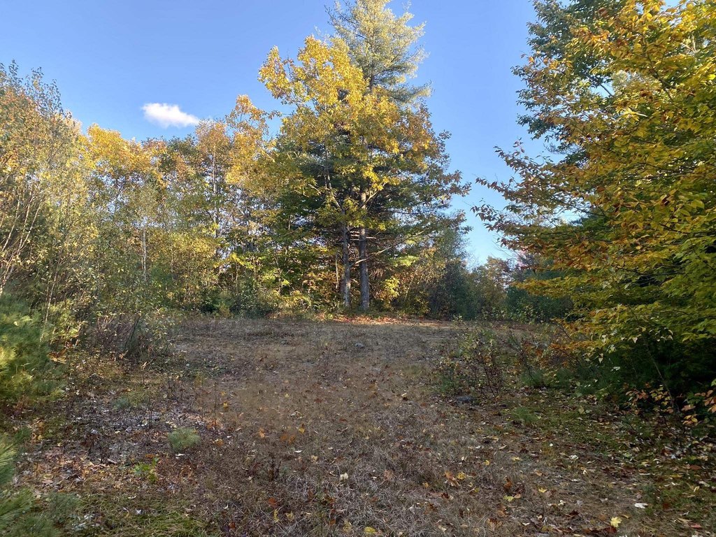 Picture 23