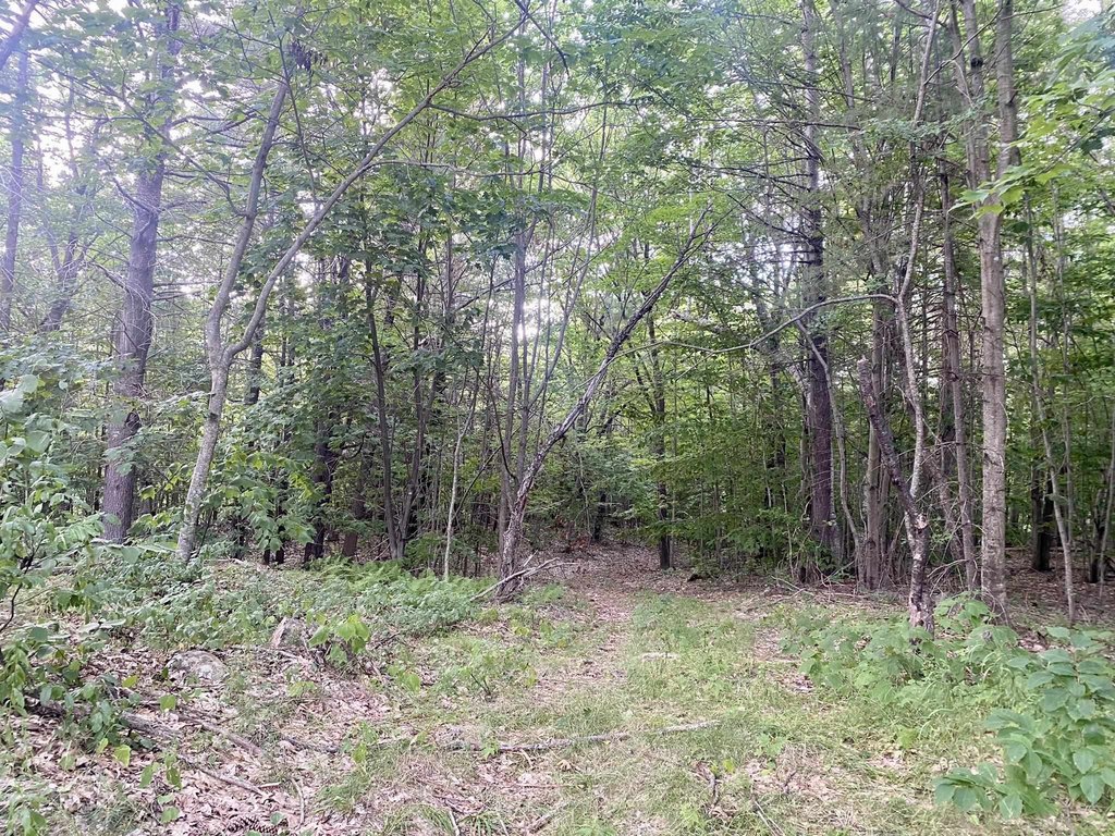 Picture 39