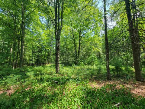 LAND - Beaverton, MI