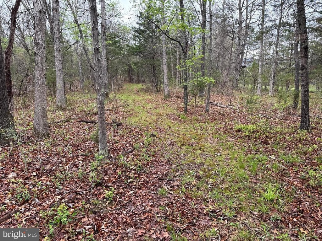Picture 14