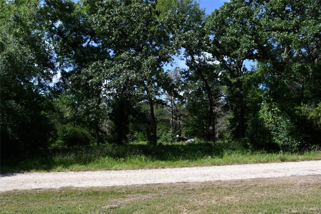 Picture 5