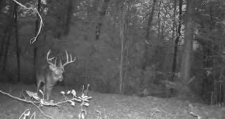 Picture 2